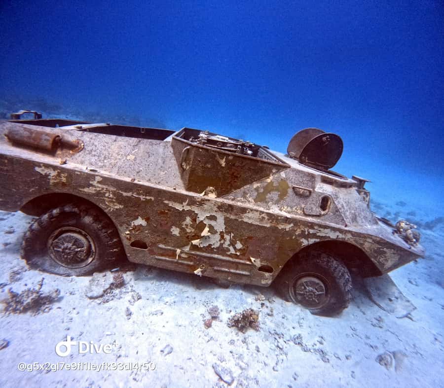 Museum Diving Experience in the Red Sea - What you may see below the surface
