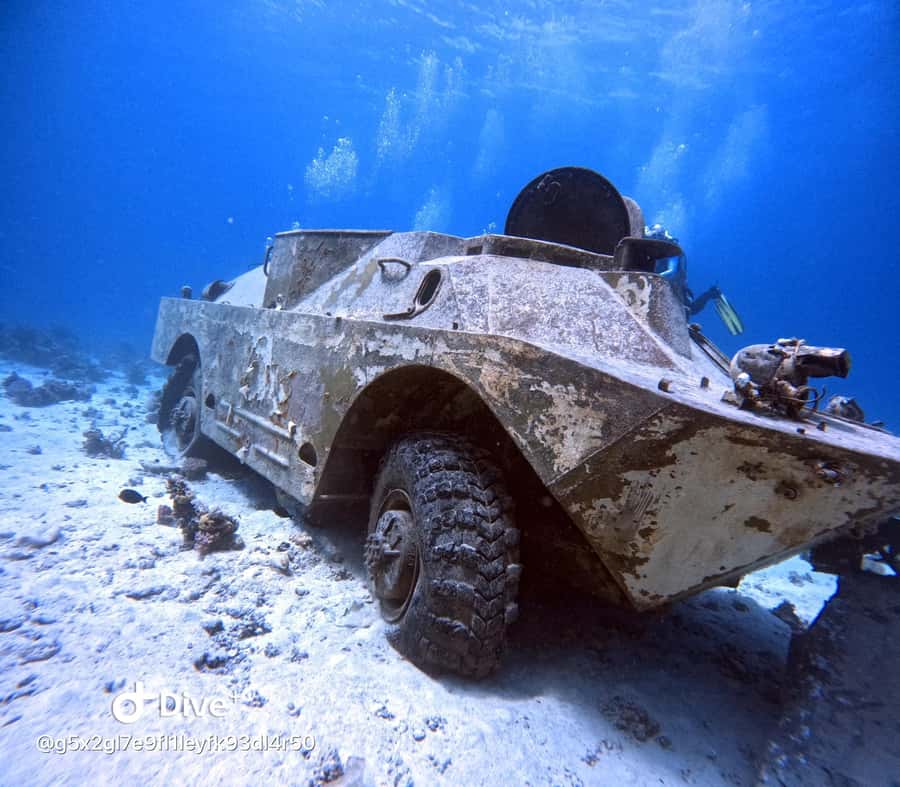 Museum Diving Experience in the Red Sea - Two underwater visits, with lunch between them