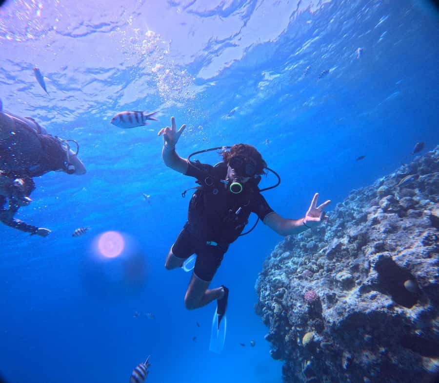 Museum Diving Experience in the Red Sea - The people who make the day work