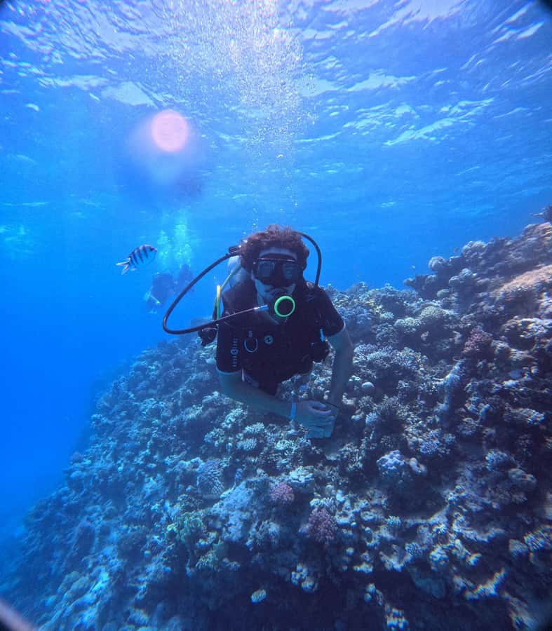 Museum Diving Experience in the Red Sea - Practical rules that affect your packing