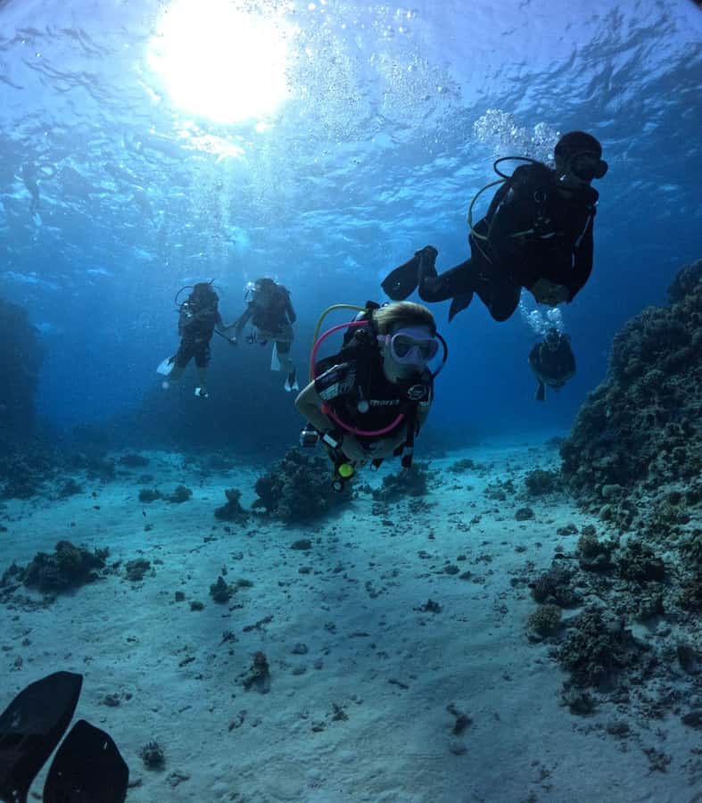 Museum Diving Experience in the Red Sea - Who should book this Red Sea outing