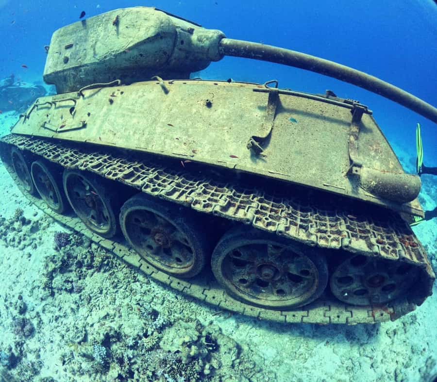 Museum Diving Experience in the Red Sea - A seven-hour day from Hurghada or El Gouna