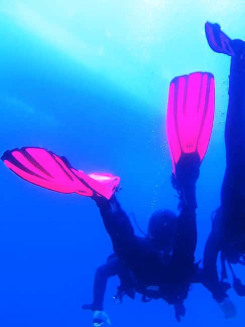 My first scuba dive into the Ocean from Sao Miguel - What the São Miguel ocean experience is really like