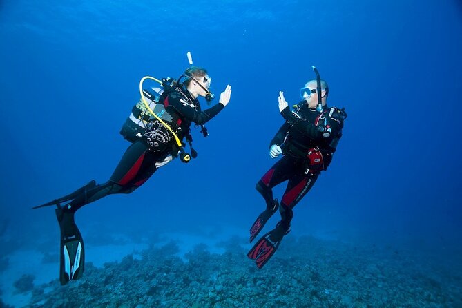 My first scuba experience in the Ocean - Key points to know before booking