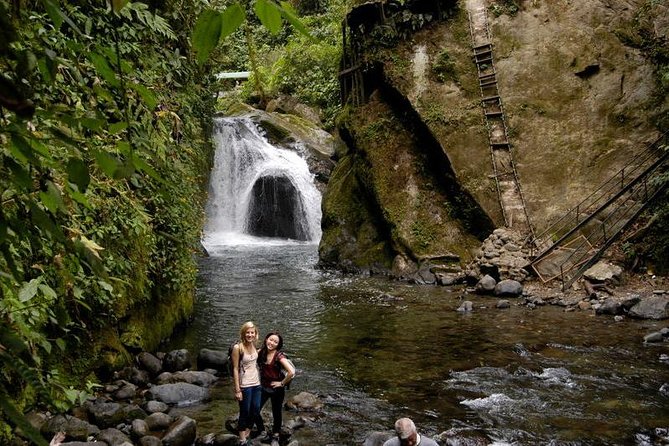 Mystical Mindo Marvels: A Daylong Dive into Nature's Dreamland! - Ten zip lines above the forest