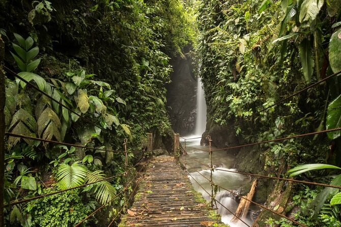 Mystical Mindo Marvels: A Daylong Dive into Nature's Dreamland! - The guide and the small-group difference
