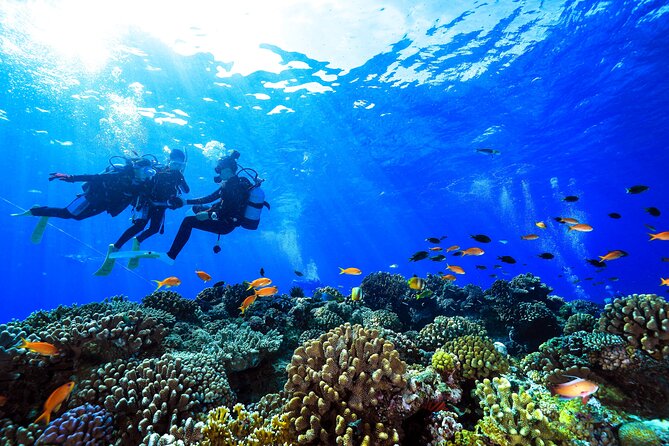 Naha: Full-Day Introductory diving & Snorkeling in the Kerama Islands, Okinawa - Your first scuba session in the Keramas