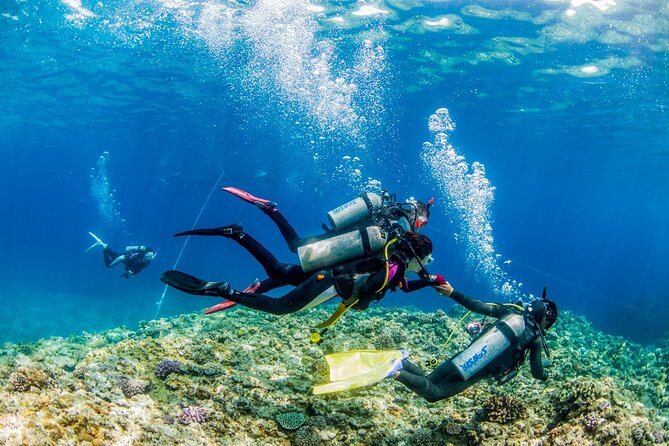 Naha: Full-Day Introductory diving & Snorkeling in the Kerama Islands, Okinawa - Snorkeling and two or three underwater sites
