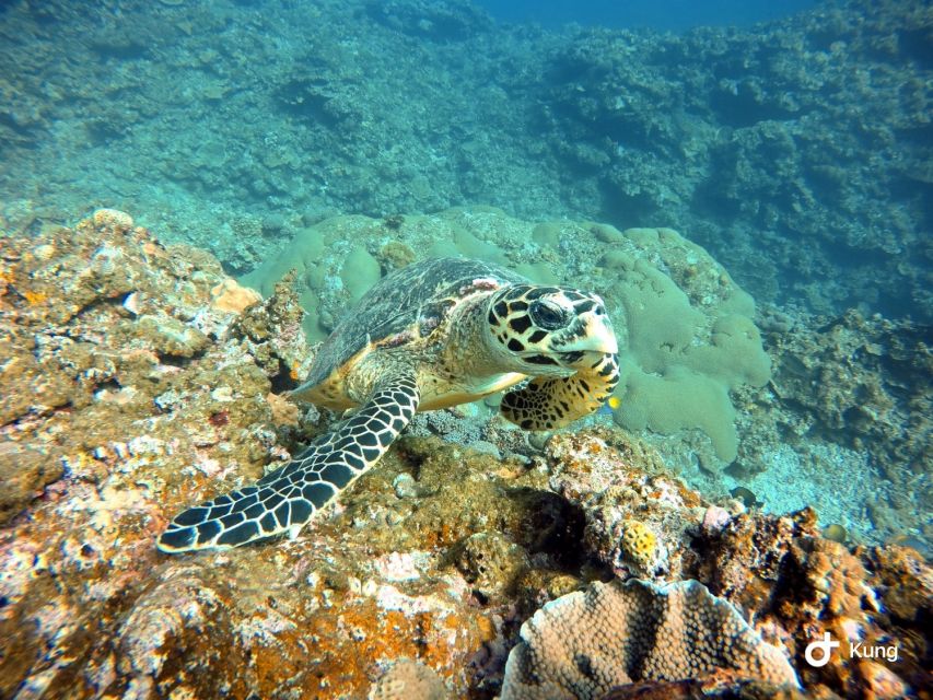Naha, Okinawa: Kerama Islands Full-Day Intro-Diving Trip - What the $70 Price Really Buys You
