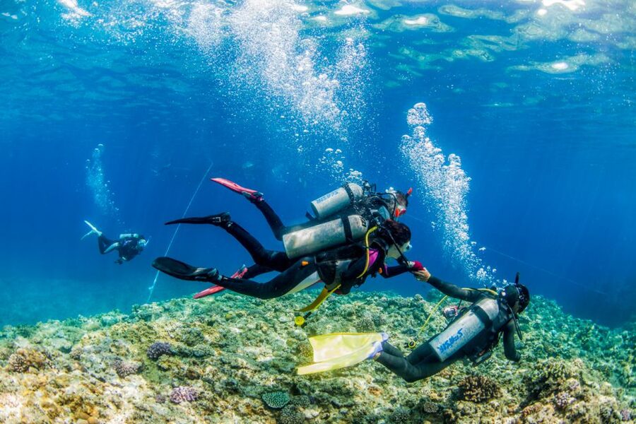 Naha, Okinawa: Kerama Islands Full-Day Intro-Diving Trip - Lunch, Showers, and the Ride Home