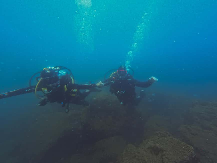 Napoli: Dive or Discover Scuba Diving in the Park of Baia - What the certificate means for future scuba plans
