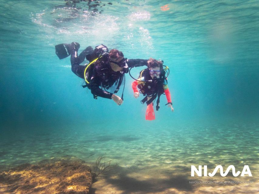 Naxos: Discover Scuba Dive with Nima Dive Center - How to make the most of your three hours