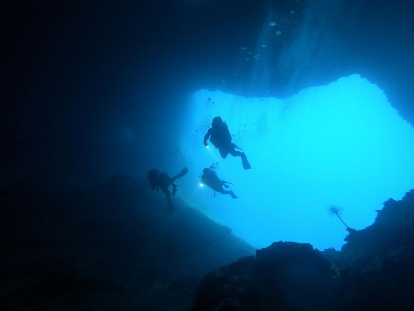 Naxos: Discover Scuba Dive with Nima Dive Center - The short preparation that makes the first session easier