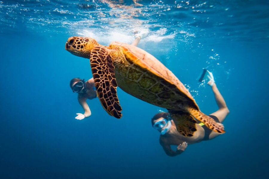 Naxos: Discover Scuba Diving on Agios Georgios Beach - Key points to know before booking