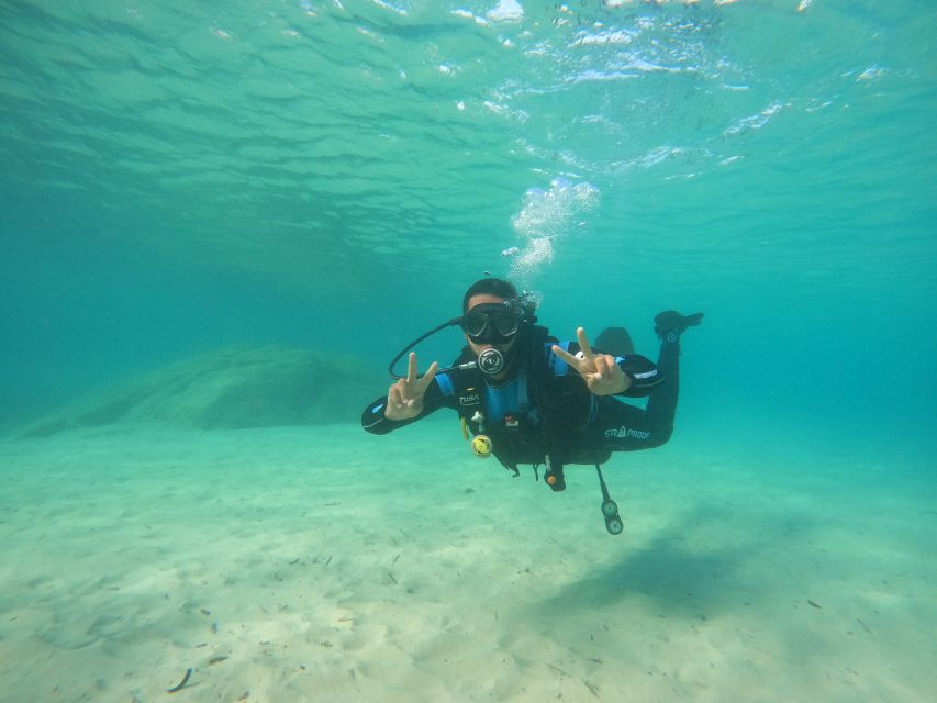 Naxos: Discover Scuba Diving on Agios Georgios Beach - Starting at Flisvos Dive Center
