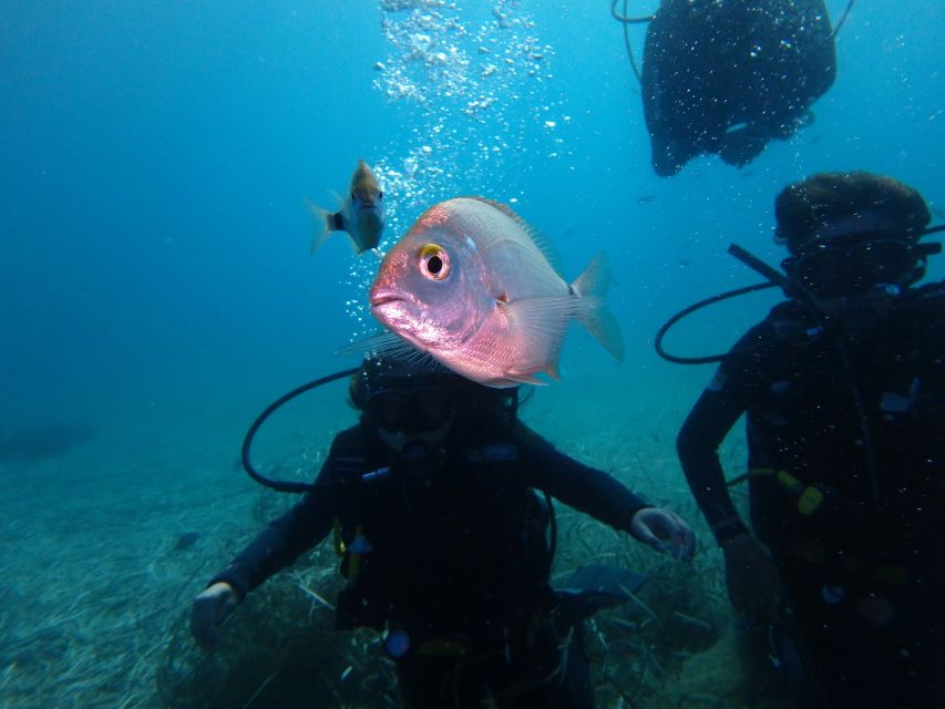 Naxos: Discover Scuba Diving - Your first experience diving - The first 35 minutes: learning before entering the water