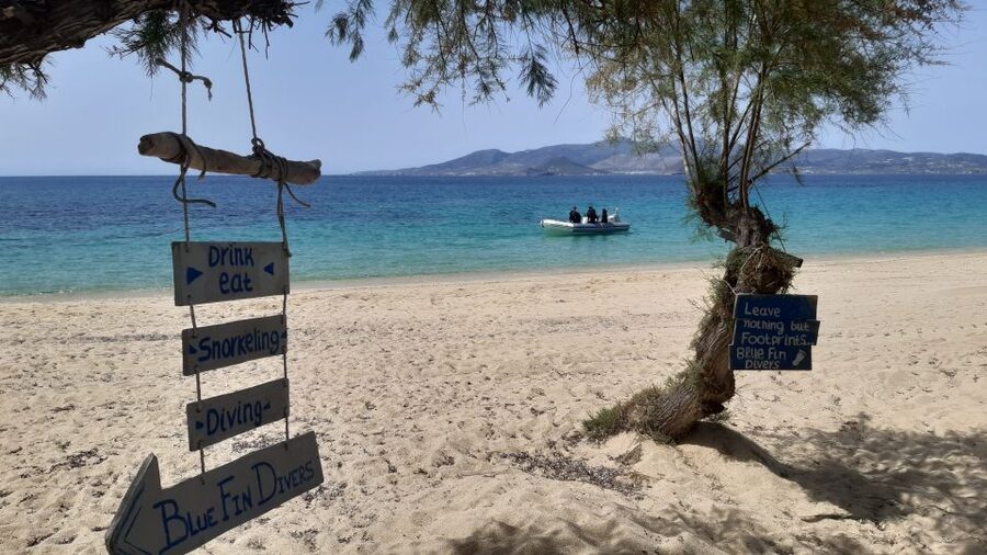 Naxos: Discover Scuba Diving - Your first experience diving - Is $112 a fair price?