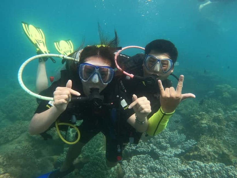 Nha Trang : Scuba diving experience for certified dive - Underwater life in Nha Trang Bay