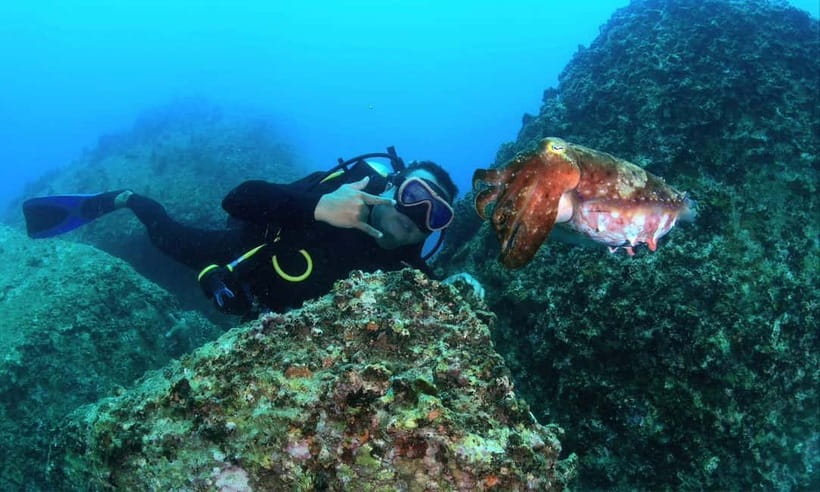 Nha Trang : Scuba diving experience for certified dive - Reaching the water from Nha Trang port