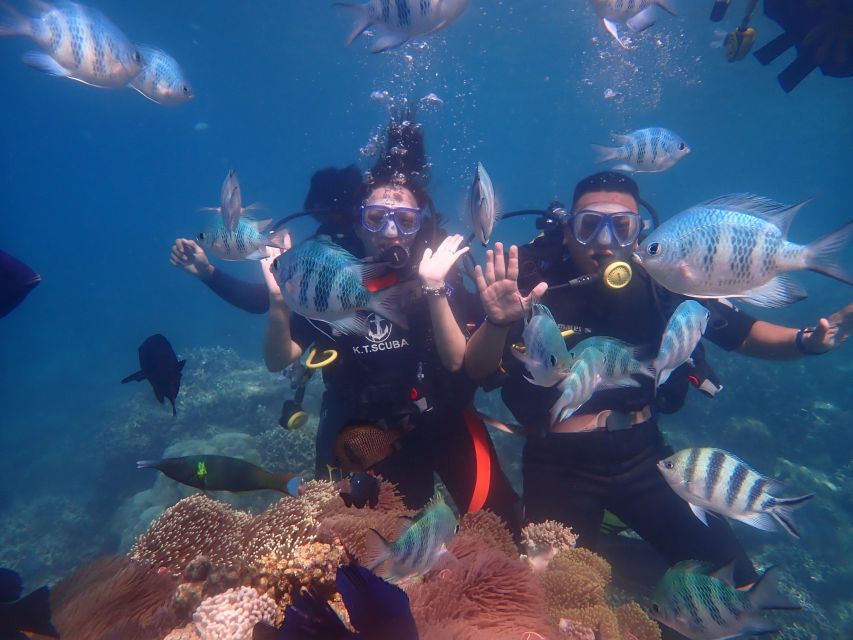 Nha Trang: Scuba Diving Experience for Non-Certified Divers - A gentle first step into Nha Trang’s underwater world