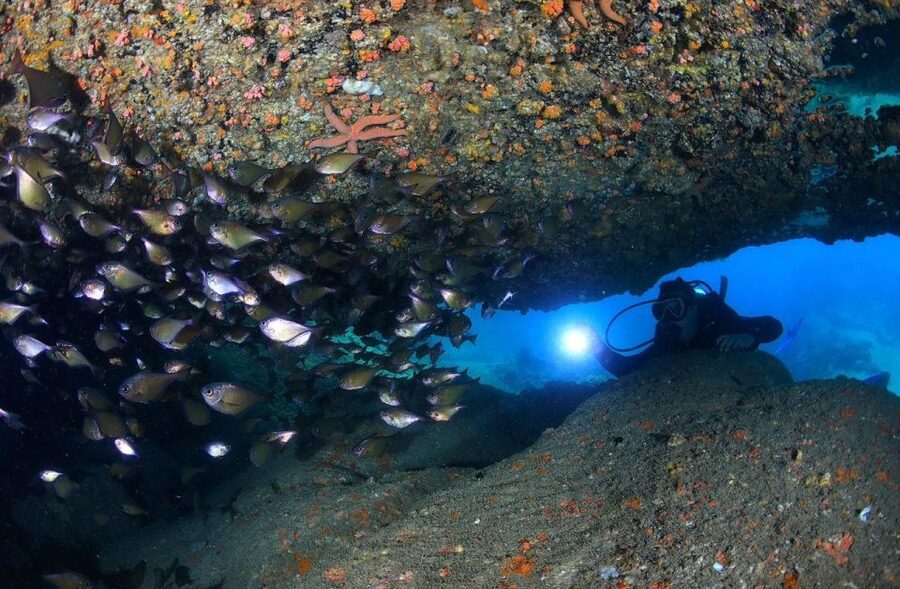Nha Trang: Scuba Diving Experience for Non-Certified Divers - Lunch, snacks, and what the price covers