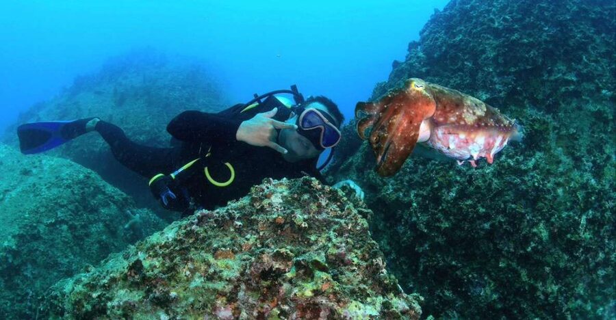 Nha Trang: Scuba Diving Experience for Non-Certified Divers - Small details that make the day easier
