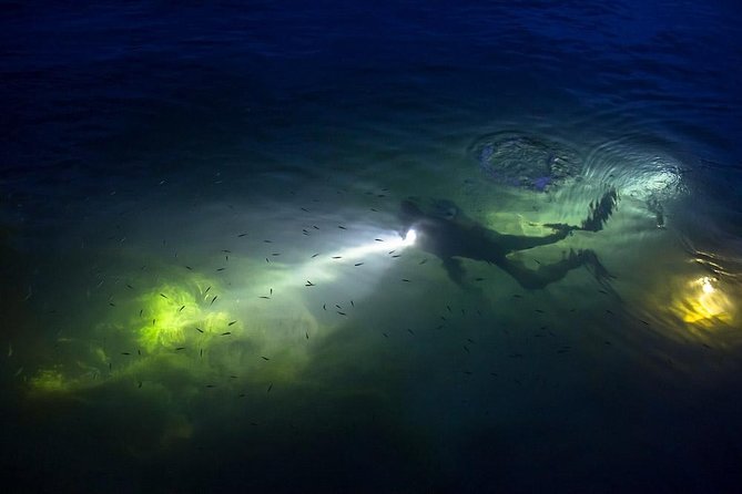 Night Shore Diving Mangel Halto Aruba for Certified Divers - What the $80 price includes in practical terms
