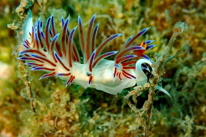 Nima Diving Center, Naxos, Greece - What the two-hour schedule really includes