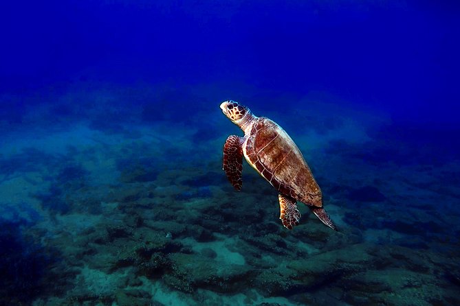 Nima Diving Center, Naxos, Greece - Why private instruction changes the experience