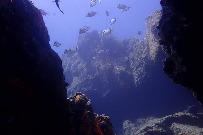 Nima Diving Center, Naxos, Greece - Preparing through the PADI app