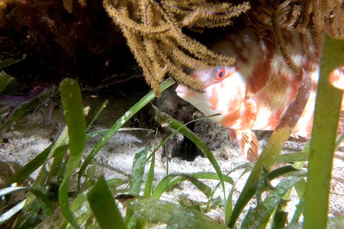 No Experience Required to Discover Scuba in Florida - Who will get the most from this experience