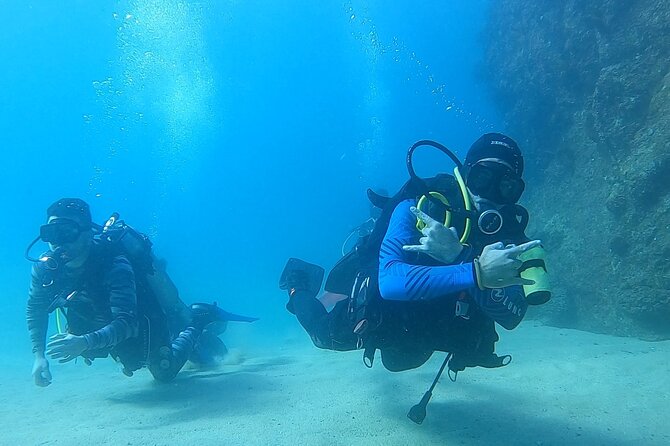 Non-Certified Diving Adventure in Cabo San Lucas - Key points to know before booking