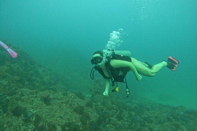 Non-Certified Diving Adventure in Cabo San Lucas - The important booking question for solo guests