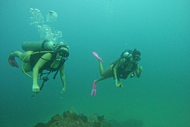 Non-Certified Diving Adventure in Cabo San Lucas - Who will enjoy this Cabo outing most