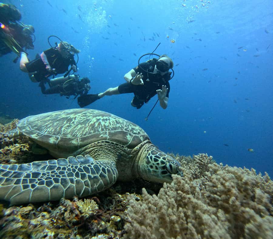 North of Mauritius: Scuba Diving Tour - Getting the boat and equipment ready