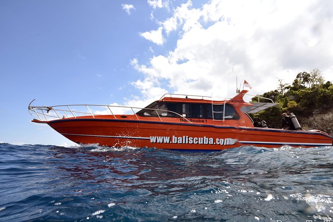 Nusa Penida Day Trip for 3 dives - Why Nusa Penida makes this a serious day out