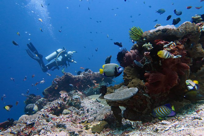 Nusa Penida Day Trip for 3 dives - The safety setup is one of the strongest features