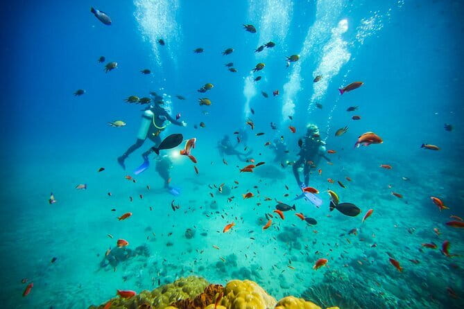 Nusa Penida Private Diving Tour by Speedboat - A calm finish at Bali Hai Lagoon
