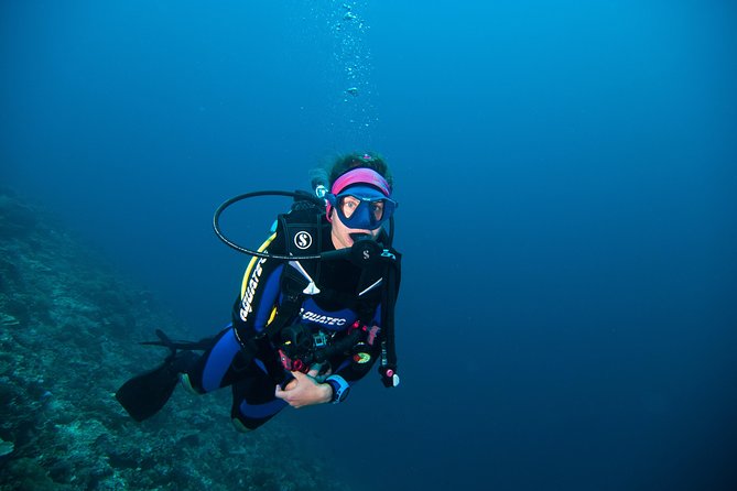 Nusa Penida Three Dives Trip for Certified Divers - Is the $160 price fair?