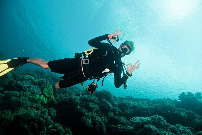 Nusa Penida Two Dives Trip for Certified Divers - Why Nusa Penida makes this a special morning