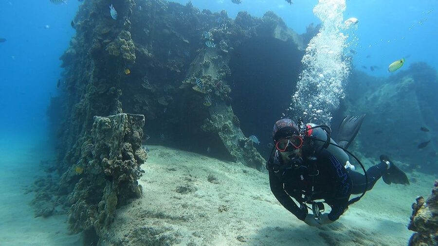 Oahu: Beginner SCUBA Dive at Electric Beach - Key points to know before booking
