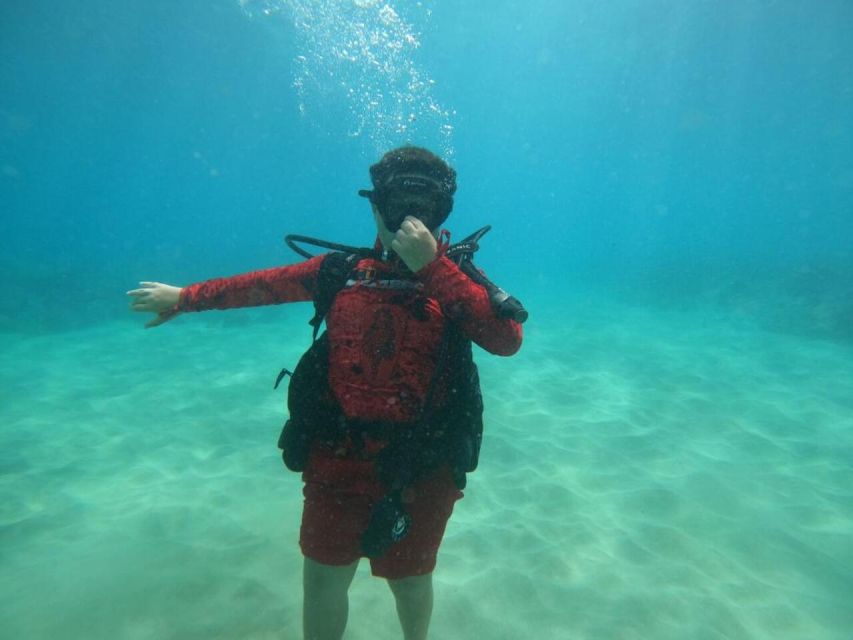 Oahu: Beginner SCUBA Dive at Electric Beach - Photos without the camera hassle