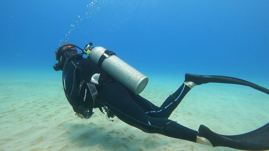 Oahu: Beginner SCUBA Dive at Electric Beach - Is $175 a fair price?