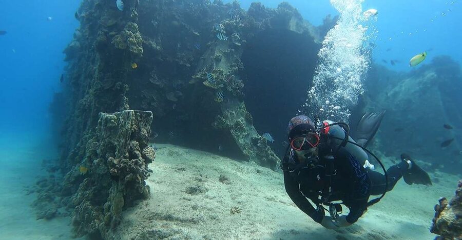 Oahu: Beginner SCUBA Dive at Electric Beach - The 45-minute briefing makes the difference