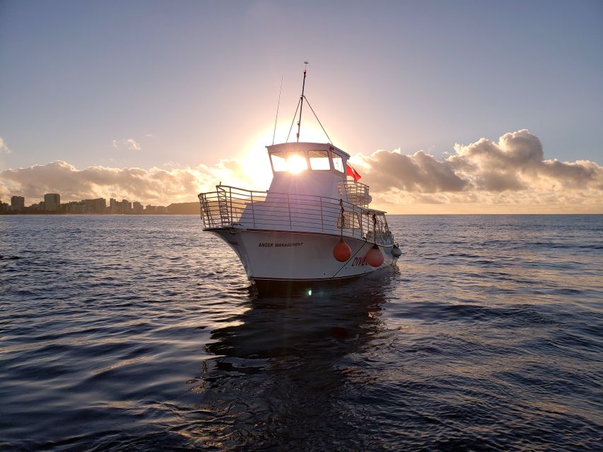 Oahu Night Dive: Adventure for Certified Divers - Why Oahu’s night sea is worth seeing