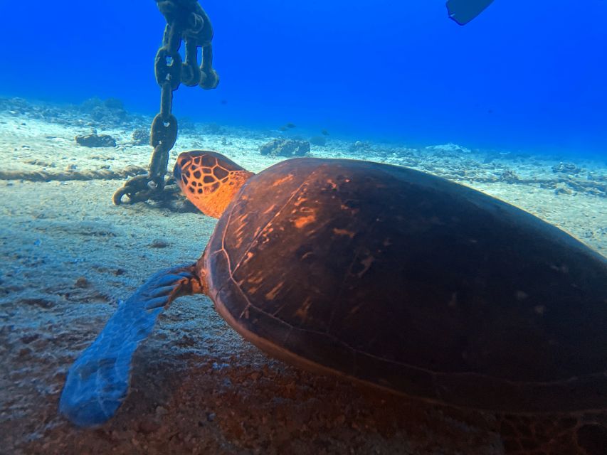 Oahu Night Dive: Adventure for Certified Divers - A 30-minute sunset break on the boat