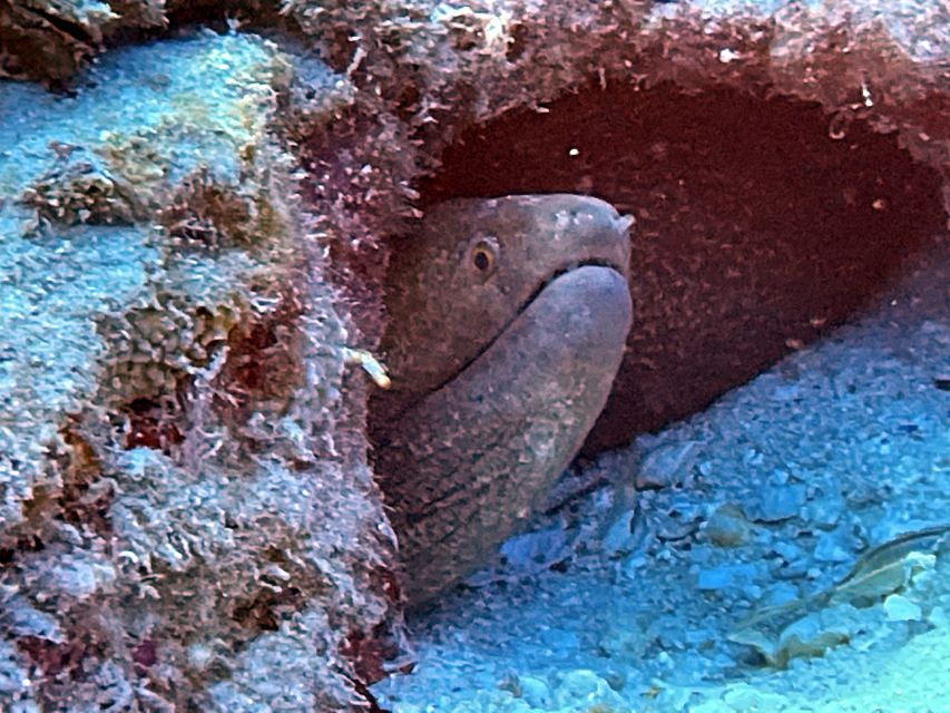 Oahu Night Dive: Adventure for Certified Divers - What the included gear means for the price