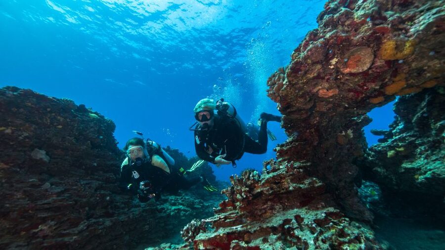 Oahu: Shallow Reef Scuba Dive for Certified Divers - The crew and the level of supervision