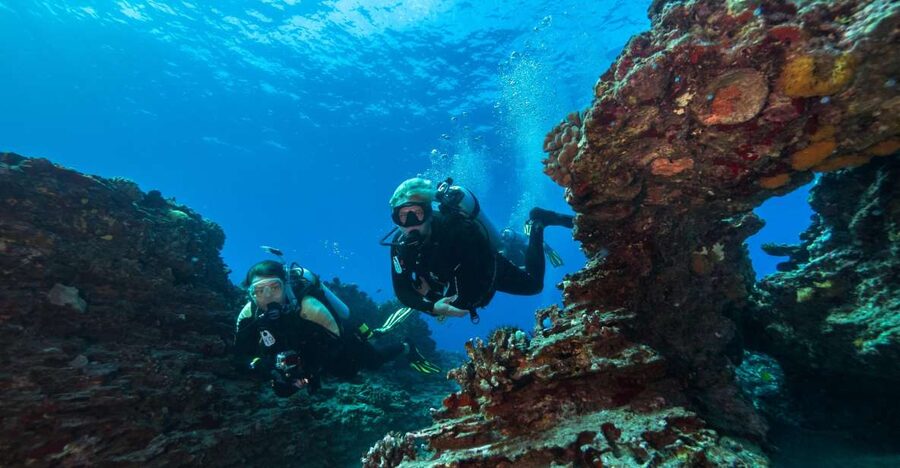 Oahu: Shallow Reef Scuba Dive for Certified Divers - What the 25-minute safety briefing covers