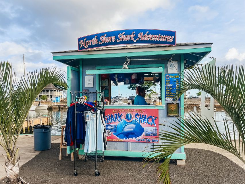 Oahu: Shark Cage Dive on the North Shore - Meeting the Galapagos sharks